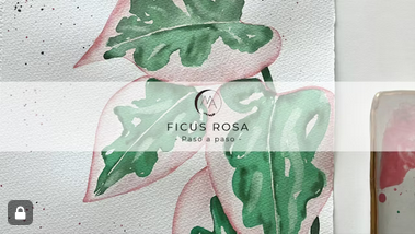 Pintar ficus rosa